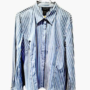 Spencer Jeremy Women's XL blue stripes blouse wear w slacks, skirt Jeans, heels